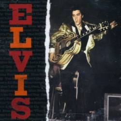 Elvis Presley : Rock'n'Roll Hero